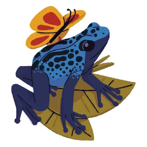 Vector illustration of Blue dendrobatidae with butterfly sitting on leaves. Bright poisonous toad, cute dart frog with spotted skin. Wild amphibian animal, rainforest inhabitant. Flat isolated vector illustration on white