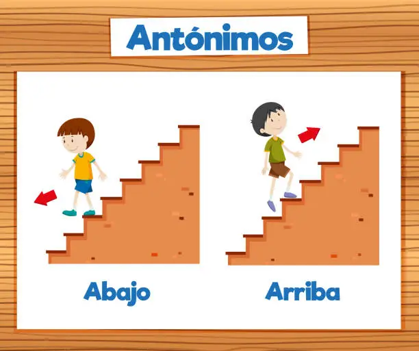 Vector illustration of Educational Antonyms Spanish Picture Word Card: Abajo and Arriba means up and down