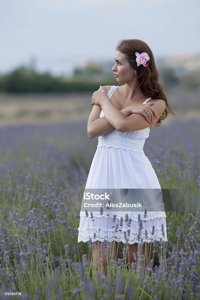 Attractive girl in the field of blossoming lavender Young woman in white outdoors. Attractive girl in the field of blossoming lavender Adult Stock Photo
