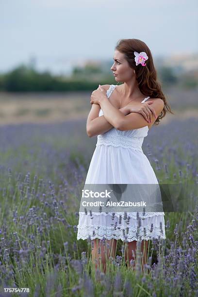 Attractive Girl In The Field Of Blossoming Lavender Stock Photo - Download Image Now