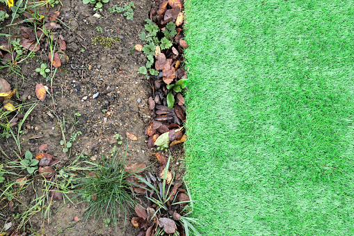 A section of vibrant green artificial grass has been laid next to an uncovered soil area that has weeds and natural grasses growing