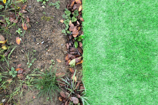 Section of artifical grass next to soil and weeds A section of vibrant green artificial grass has been laid next to an uncovered soil area that has weeds and natural grasses growing artifical grass stock pictures, royalty-free photos & images