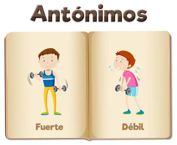 Vector illustration of Spanish Language Education: Strong and Weak Picture Word Cards strong and weak