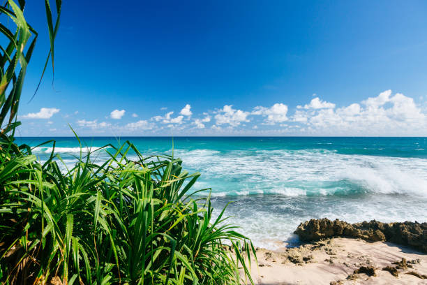 Tropical ocean scene with blue-green water and white waves. The foreground consists of green foliage and a rocky shore, while the background consists of the horizon and the ocean. The sky is a bright blue with white clouds. The photo is taken from a low angle, with the ocean in the foreground and the sky in the background.