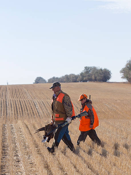 grandpa e neto de caça - pheasant hunting fotos - fotografias e filmes do acervo