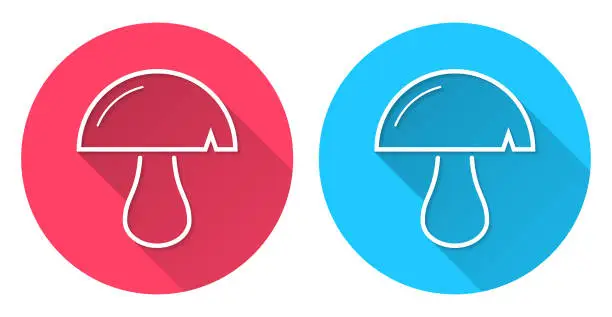 Vector illustration of Mushroom. Round icon with long shadow on red or blue background