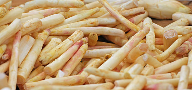 istock bunch of fresh white asparagus freshly picked 175759138