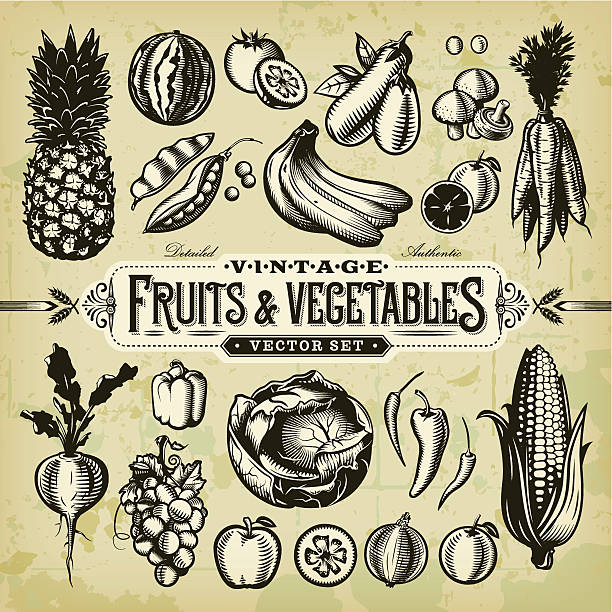 ilustrações, clipart, desenhos animados e ícones de vintage & conjunto de frutas e legumes - eggplant vegetable tomato fruit