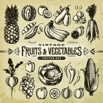 A collection of black and white, vintage-styled fruit and vegetables set. EPS 10 file, layered & grouped, with meshes and transparencies (shadows & overall effects only).