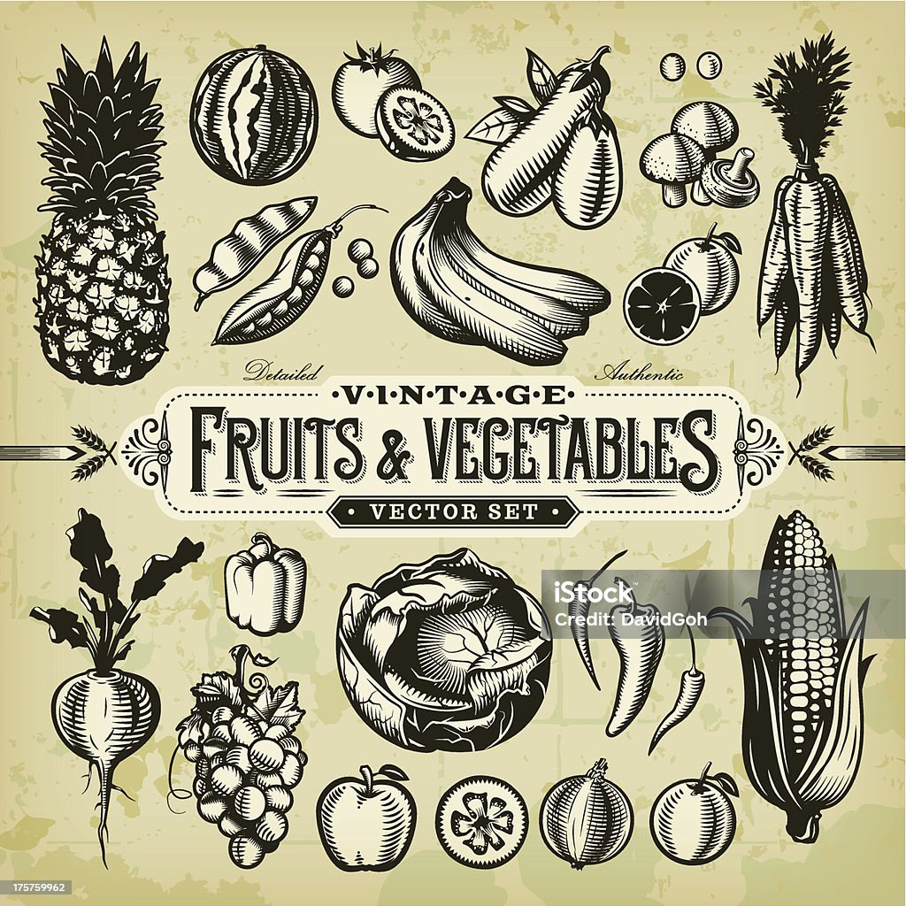Vintage Fruits & Vegetables Set A collection of black and white, vintage-styled fruit and vegetables set. EPS 10 file, layered & grouped, with meshes and transparencies (shadows & overall effects only). Fruit stock vector