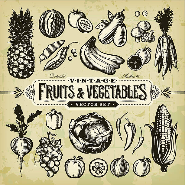 Vintage Fruits & Vegetables Set A collection of black and white, vintage-styled fruit and vegetables set. EPS 10 file, layered & grouped, with meshes and transparencies (shadows & overall effects only). groceries illustrations stock illustrations
