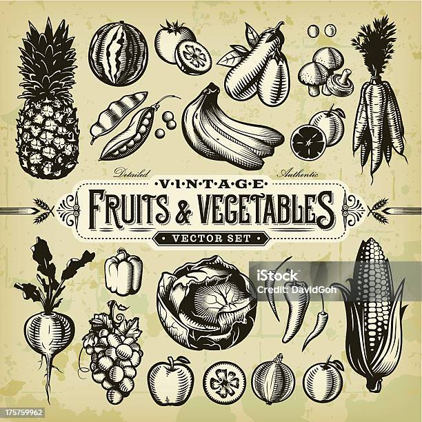 Vintage Fruits Vegetables Set Stock Illustration - Download Image Now - Fruit, Vegetable, Illustration