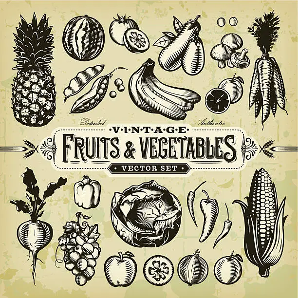 Vector illustration of Vintage Fruits & Vegetables Set