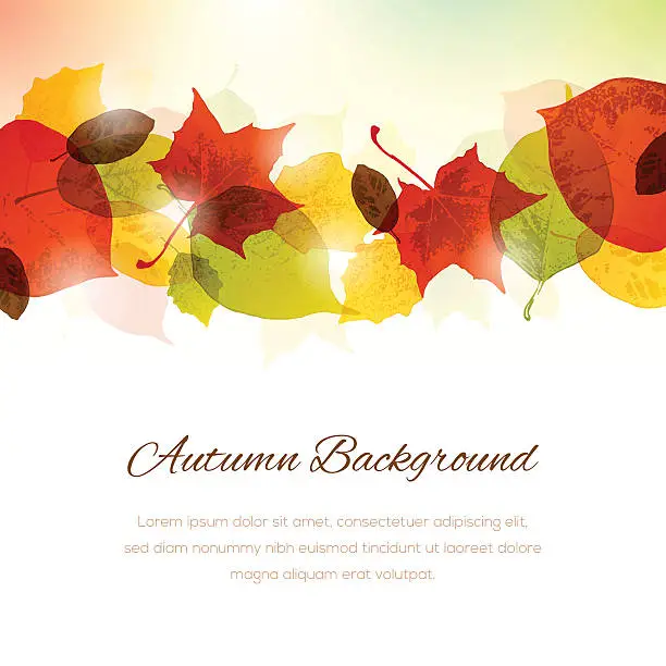 Vector illustration of Autumn Background