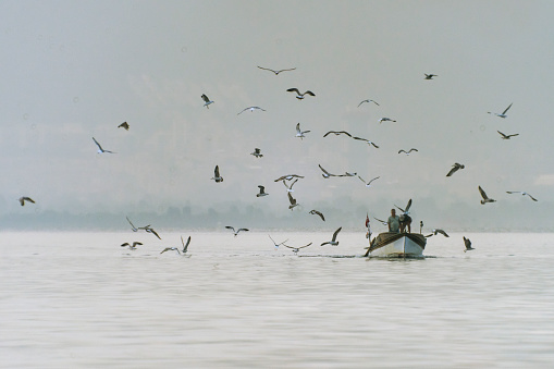 View of a fisherboat accompanied by seagulls in Izmir Gulf.