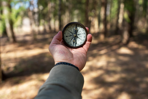 Vintage compass in the male palm, in the woods, personal perspective