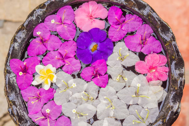 istock A pattern of flowers in a container with water, spa concept 1757620870