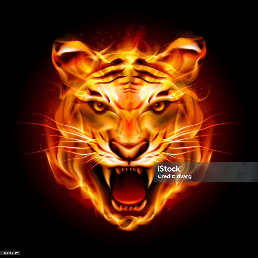 Head of a tiger in flame Head of a tiger in tongues of flame. Illustration on black. Contains transparent objects used for shadows drawing. EPS10 Tiger stock vector