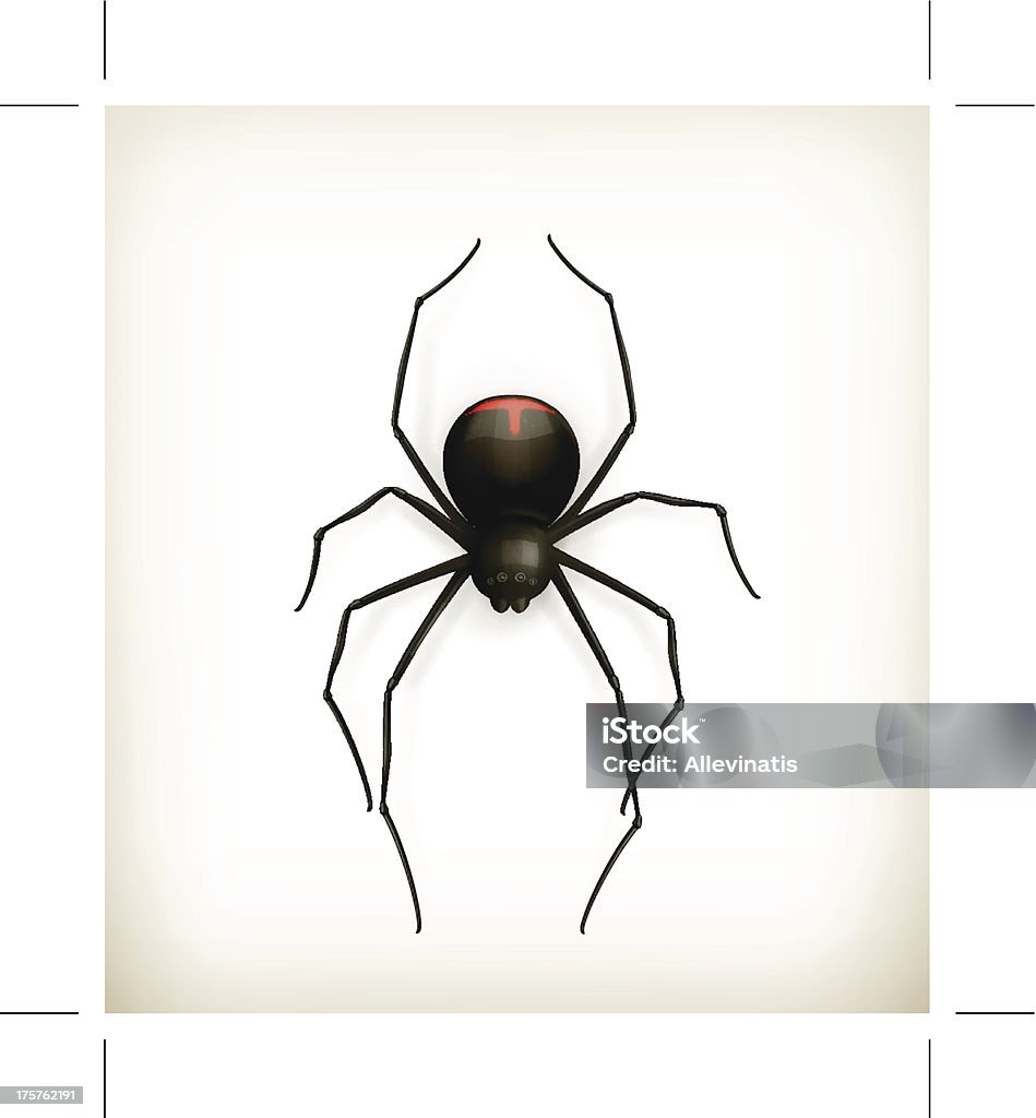 クモ - アイコンのロイヤリティフリーベクトルアート