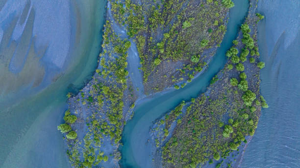 the aerial view with a ecosystem of the river lagoon valley and blue water river - new zealand forest landscape mountain imagens e fotografias de stock