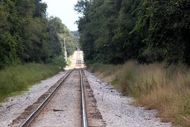 istock Railroad Tracks in the rural country 175763242