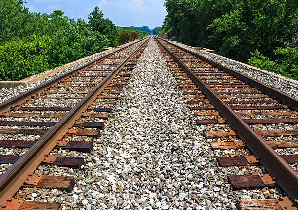 Pair of rusty railroads on a sunny blue day Two sets of railroad tracks run straight and parallel to a vanishing point on the horizon with green trees along side. parallel photos stock pictures, royalty-free photos & images