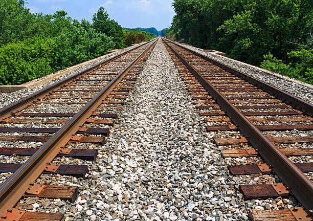 Pair of rusty railroads on a sunny blue day Two sets of railroad tracks run straight and parallel to a vanishing point on the horizon with green trees along side. shunting yard stock pictures, royalty-free photos & images