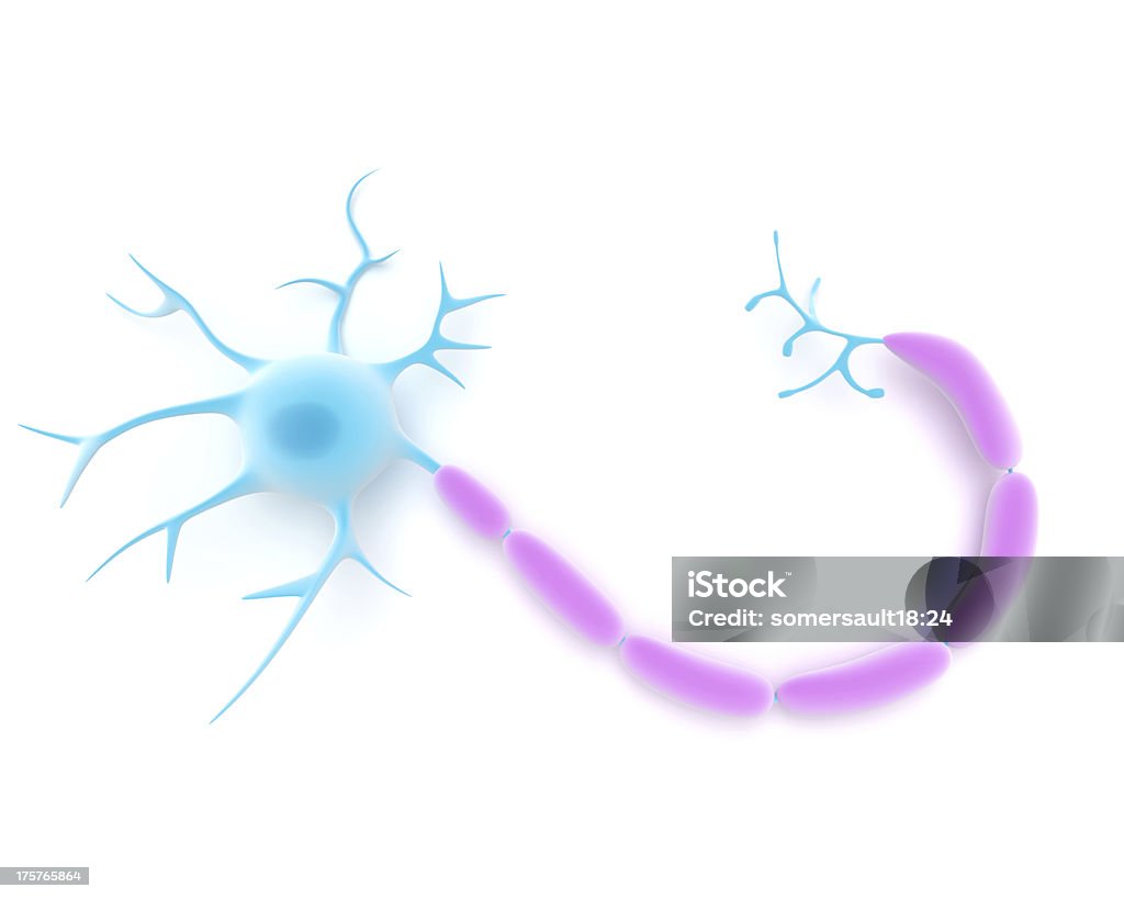 Ou Neurone multipolaire - Photo de Cellule humaine libre de droits