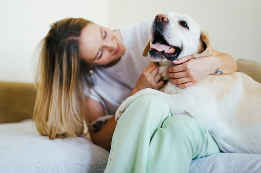 Young blonde woman is cuddling and embracing with Labrador Retriever dog at home.