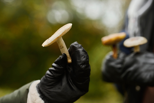 Gloves in the garden. Work gloves on the ground.