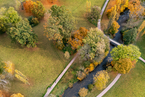 Aerial view of colorful park trees in autumn along the river