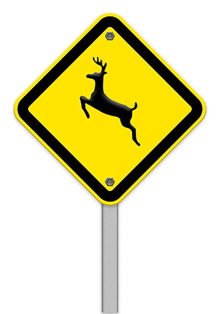 istock beware deer crossing traffic sign,part of a series 175772039