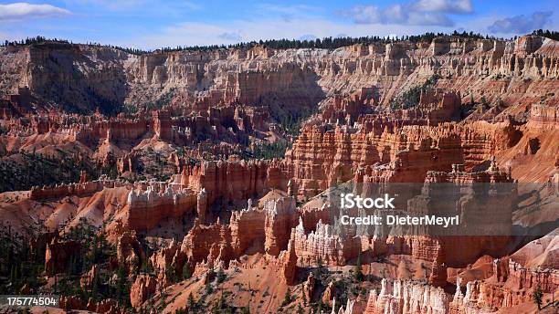 Bryce Canyon - Fotografias de stock e mais imagens de Ao Ar Livre - Ao Ar Livre, Bryce Canyon, Cordilheira - Montanha