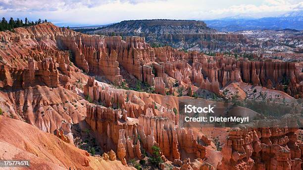 Bryce Canyon - Fotografias de stock e mais imagens de Ao Ar Livre - Ao Ar Livre, Bryce Canyon, Cordilheira - Montanha