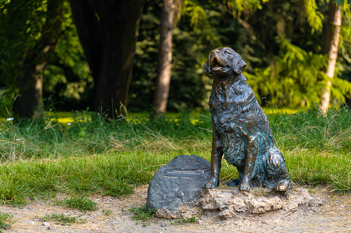 Warsaw, Poland - July 25, 2021: Canis Felix Happy Dog Statue in Pole Mokotowskie field park in Mokotów district of Warsaw