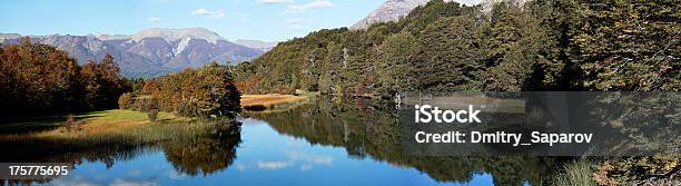 Herbst Auf Die Berge Von Patagonien Stockfoto und mehr Bilder von Anden - Anden, Argentinien, Ast - Pflanzenbestandteil