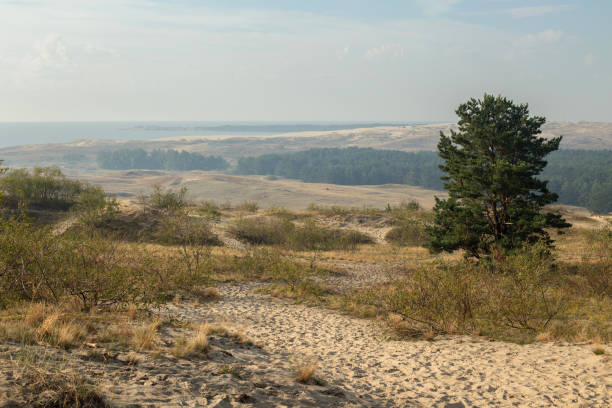 Cтоковое фото Нида, Неринга. Литва. Золотые пески Ниды