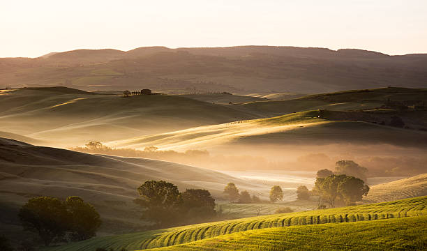 istock Dawn in Tuscany, Val d'Orcia, Italy 175777548