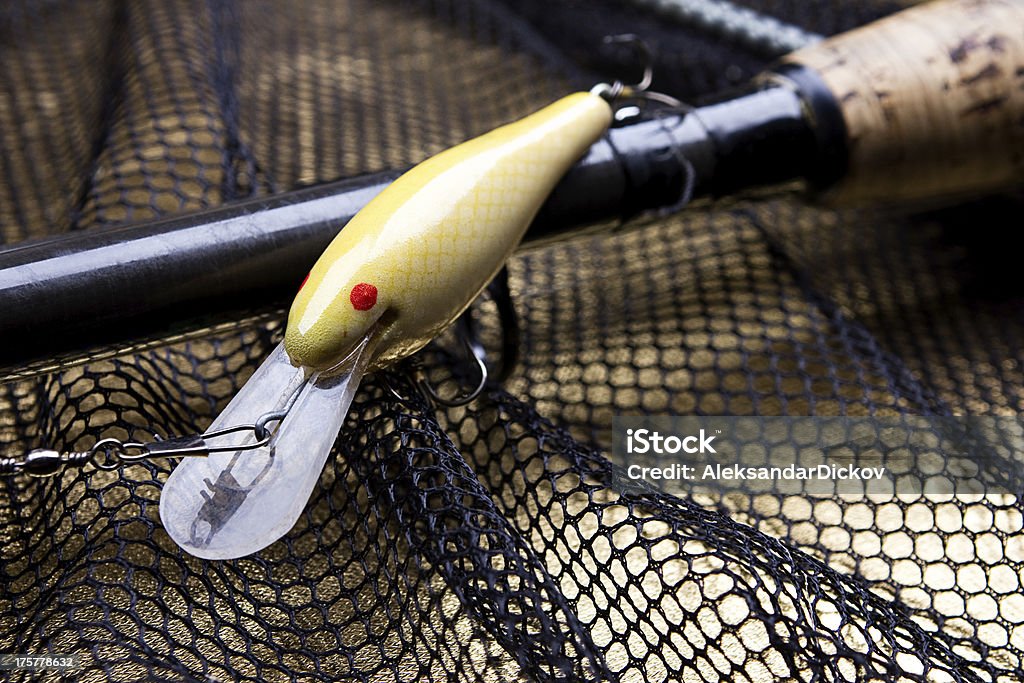 Appât de pêche - Photo de Activité de loisirs libre de droits