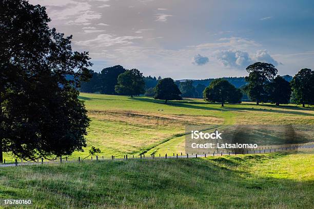 Road Countryside Stock Photo - Download Image Now - Agriculture, Asphalt, Backgrounds