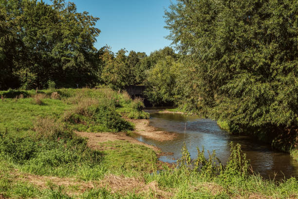 istock Lush countryside with river, trees and a bridge under a blue sky during summer. 1757801601