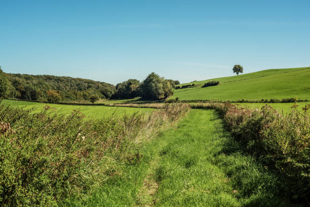 istock Lush hilly countryside with grass and trees under a blue sky during summer. 1757801613