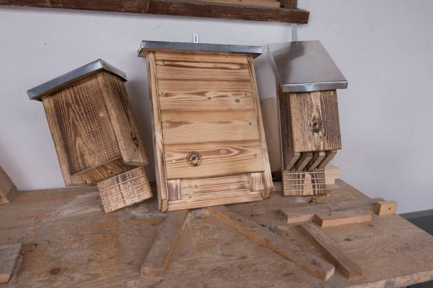 istock bird cage or bird house 1757809968