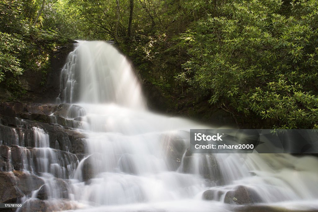 Laurel Falls - Foto de stock de Agua libre de derechos