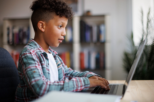 Boy using laptop at home