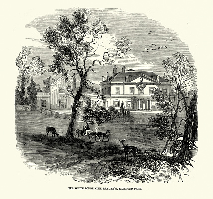 Vintage illustration of The White Lodge, a Georgian house situated in Richmond Park, London, Victorian, 1850s 19th Century