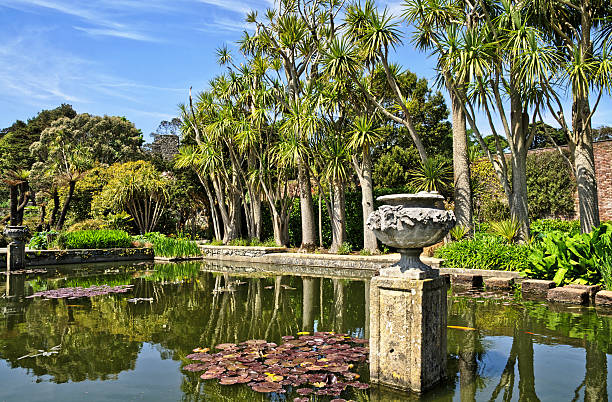 View of a palm fringed pond with Lily pads in Logan Botanic Gardens on the Mull of Galloway in South West Scotland