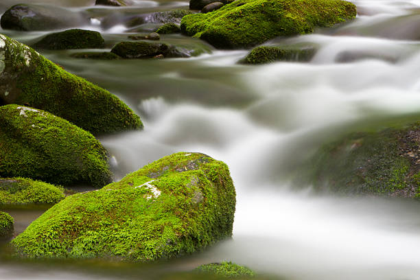 Roaring Forks Motor Trail - foto de stock