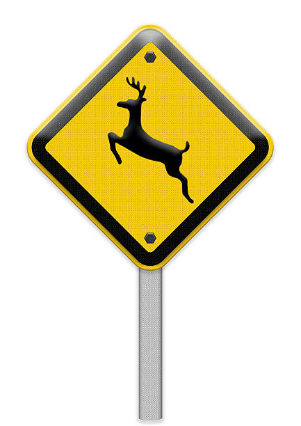 istock beware deer crossing traffic sign 175783396