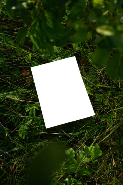 istock Mockup of white A4 sheet on green grass with blurred branches from a bush in the foreground. 1757844524